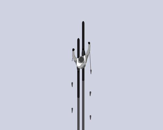 Detailed view of a skier from birds eye view