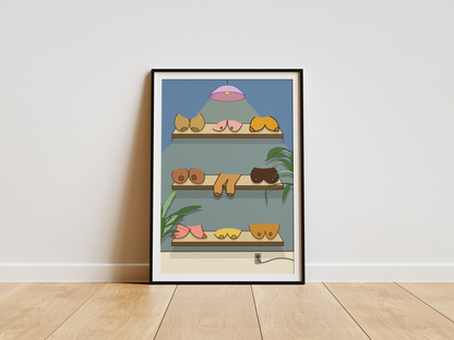 Framed illustration of a shelf with boobs on a white wall.