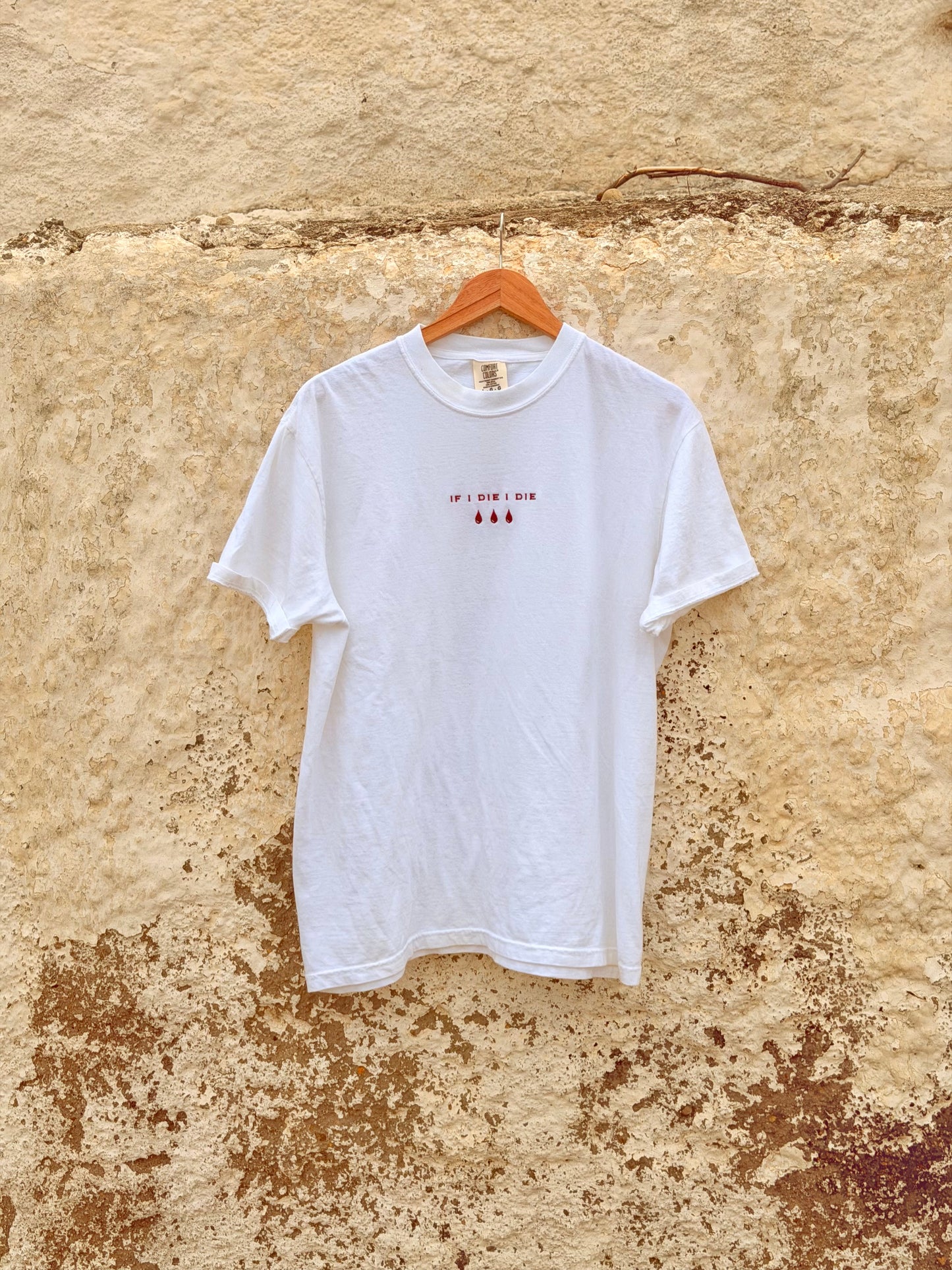 Embroidered If I Die I Die Tshirt